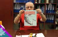 Gümrük Yönetmeliği ve Mevzuat Değişiklikleri