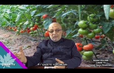 Güncel Gazete Yorumları /Dünya Gazetesi