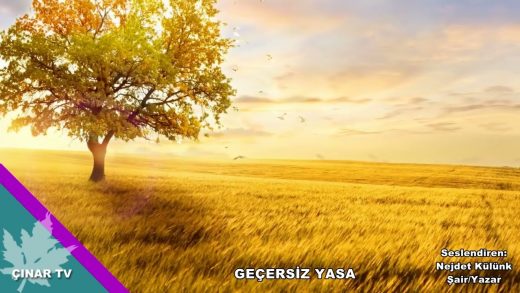 Geçersiz Yasa Şiiri / Nejdet Külünk